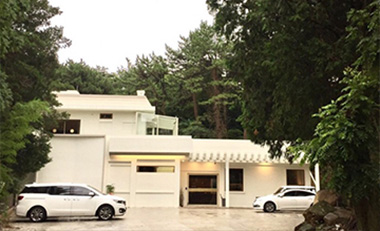 신기숲 이미지
